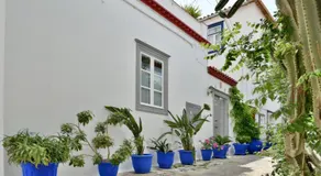 Manolia - Image 4
