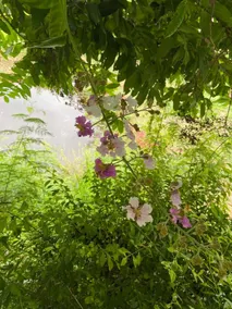 Fasuay Resort - Image 5