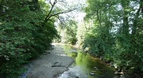 Erwins Ferien-Paradies - Image 4