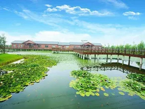 Dream Maze Resort Hotel - Image 5