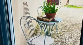 Caza Bodo - Image 2