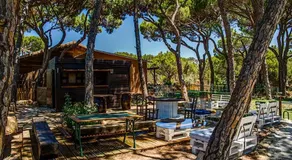 Quinta Vita - Vila Limao - Image 3
