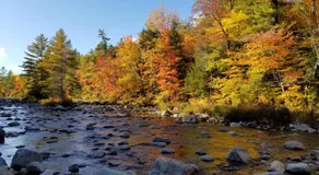 Kancamagus Swift River Inn - Image 4