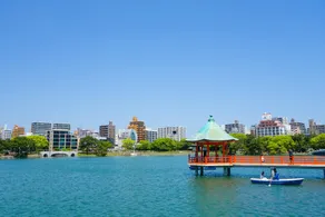 COCHI HAKATA - Image 4