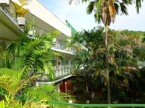 Royal Palm Suite Hotel - Image 3