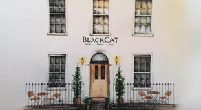 Black Cat - Image 3