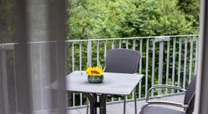 Siegelsbacher Muehle - Image 3