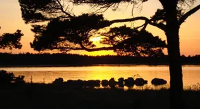 Gotlands Idrottscenter Vandrarhem - Image 4