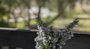 Quit Hideaway - Image 3