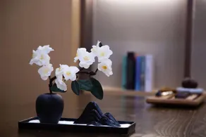 YOLANDA  HOTEL - Image 5