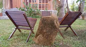 Coconut Island Yala - Image 5