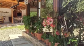 Bellavenere - Image 4