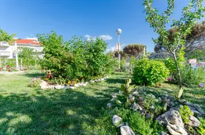 Apartments Joka - Image 5