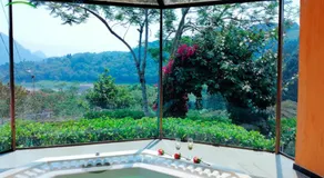 HOTEL FOREST - Image 3