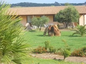 La Quercia della Gallura - Image 4