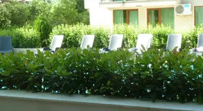 Golden Dunes Primorsko Apartments - Image 3