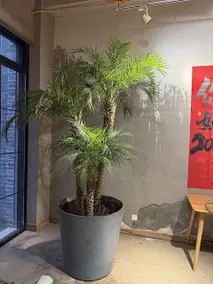 Wisher Hostel - Image 4
