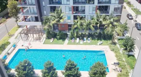Pool View of Marquarie Park Paradise - Image 3