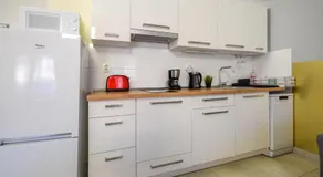 Island Apartment Budapest - Image 5