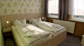 Blechleppel - Die Pension im Harz - Image 2