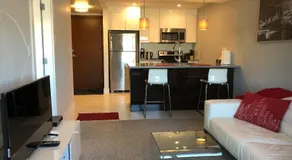 Two bedroom apartment with riverview in Calgary downtown - Image 2