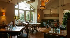 The Swan - Image 2