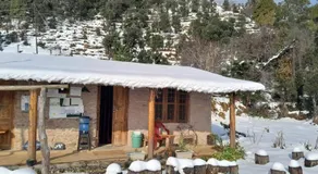 Astitva off-beat Forest Retreat - Chalo Daanda Forest Farm Homestay - Image 3
