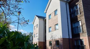 The Mindrum - Properties Unique - Image 3