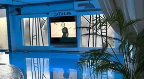 Catalpa - Image 2