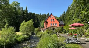 Erlebnishotel & Restaurant Fichtenhäusel am Pöhlagrund - Image 4