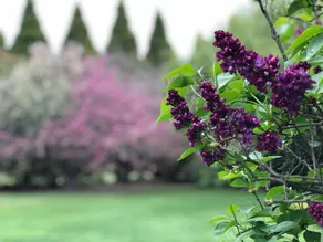 Entire Estate on vineyard  - DIY Events, Function - Image 5