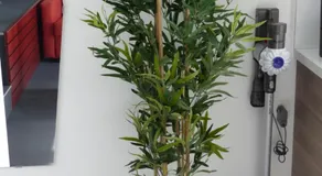 volcaloft - Image 5
