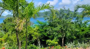 Long Bay Beach Villa - Beachfront Luxury Villa w Private Pool, Solar & Battery Backup - Image 5