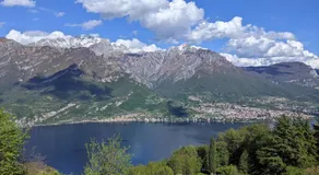 Lilla - Image 5