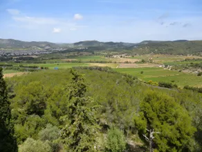 Buenavista Apartment - Image 4