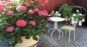 Alte Schreinerei Boutique Hotel - Image 5