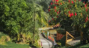 La Chorrera ecohotel - Image 3