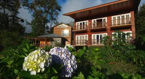 Hotel Bosque Verde Lodge - Image 5