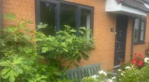 Contemporary House with a Woodland Setting - Image 4