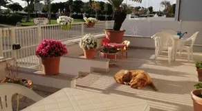 B&B GALLETTO - Image 5