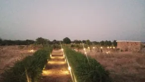 Bagheera Bagh Jawai - Image 5