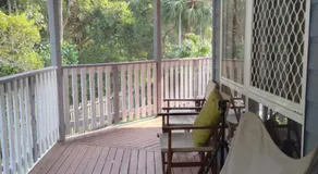 Near to Everything Yet in a Rainforest setting - Image 3