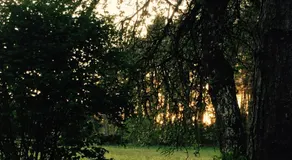 Grimm`s Waldhäuschen - Image 4