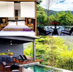 The Shorea - Image 1