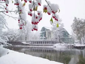 Seevilla Altaussee - Image 5