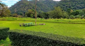 DoiLom Elephant Farmstay - Image 4