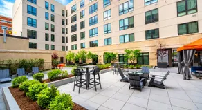 The Cambridge Haven Luxury 2BR FIFA Fan Zone Charles river MIT Kendall Sq - Image 4