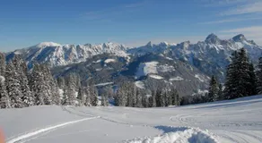 Haus Pfauth - Image 3