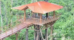 Ibbanicadu Estate Homestay - Image 5