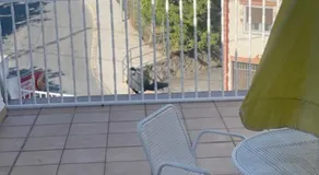 Apartamentos Coronichi - Image 4